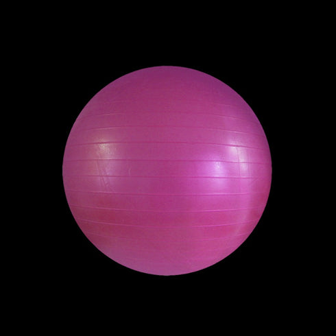 DYNAMICS-FITNESS BALL-Pink